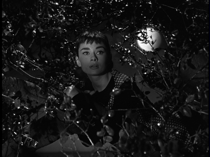 audrey-hepburn-in-sabrina
